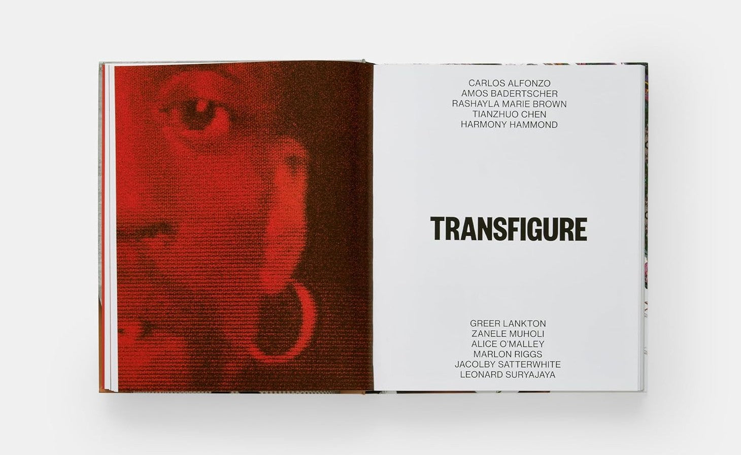 ABOUT FACE STONEWALL REVOLT NEW QUEER ART