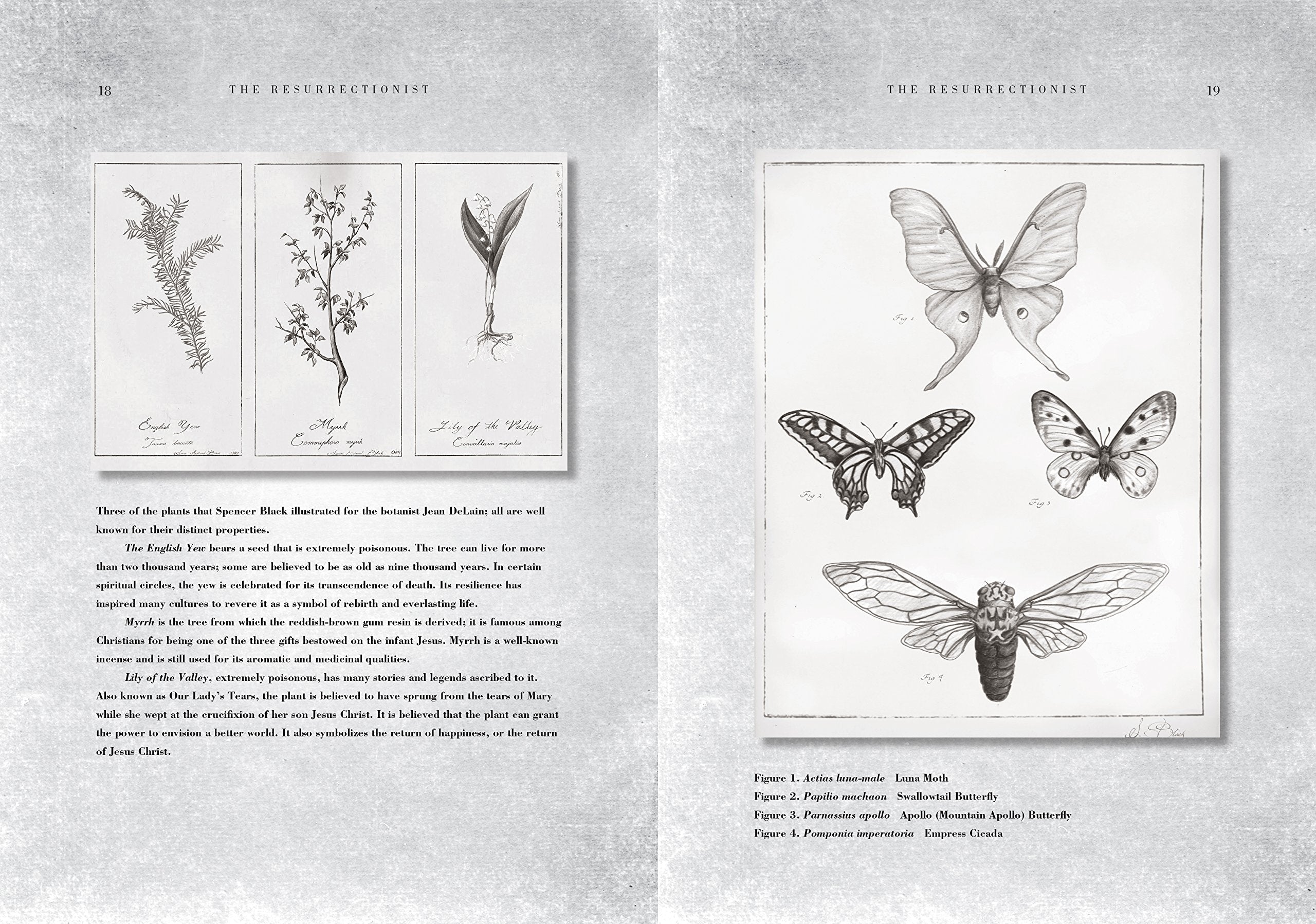 THE RESURRECTIONIST : THE LOST WORK OF DR. SPENCER