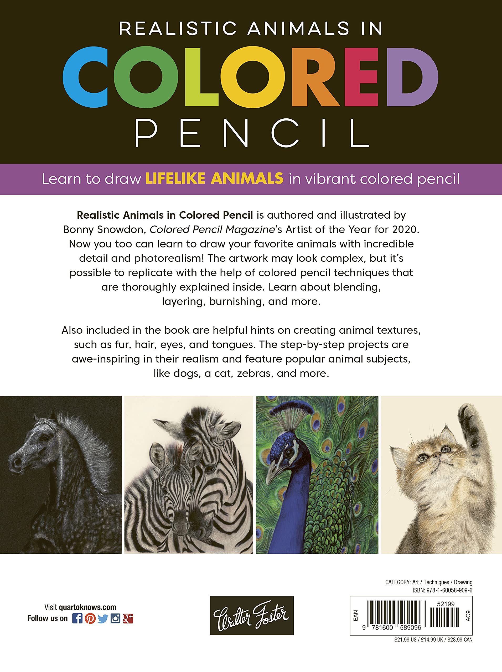 Product image for B9781600589096