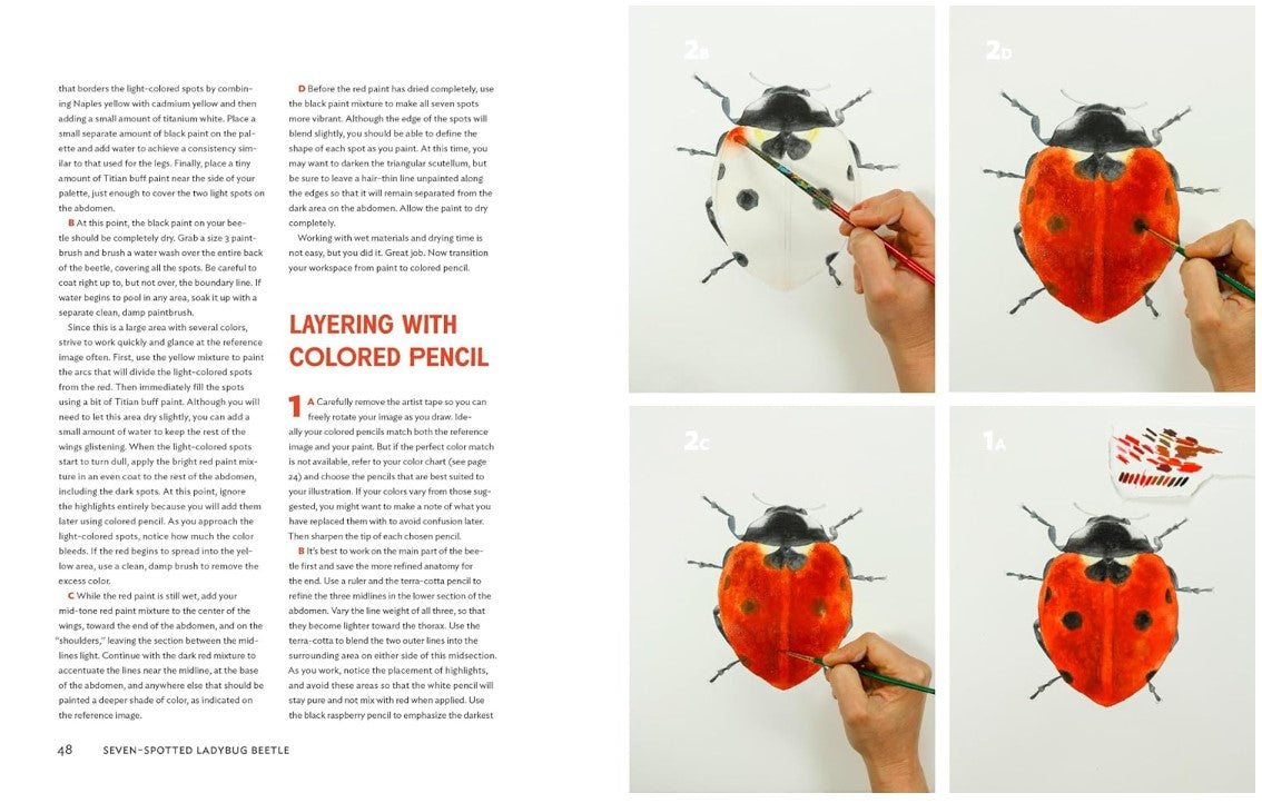 Product image for B9781604697964