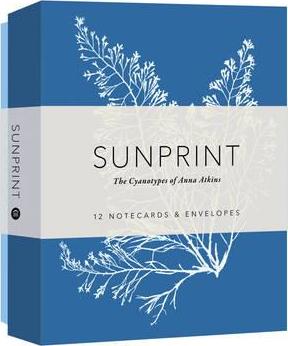 SUNPRINT CYANOTYPE NOTECARDS ANNA ATKINS
