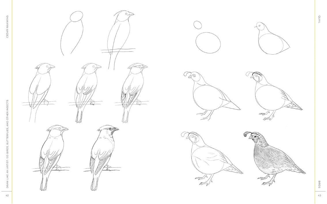 Product image for B9781631599477