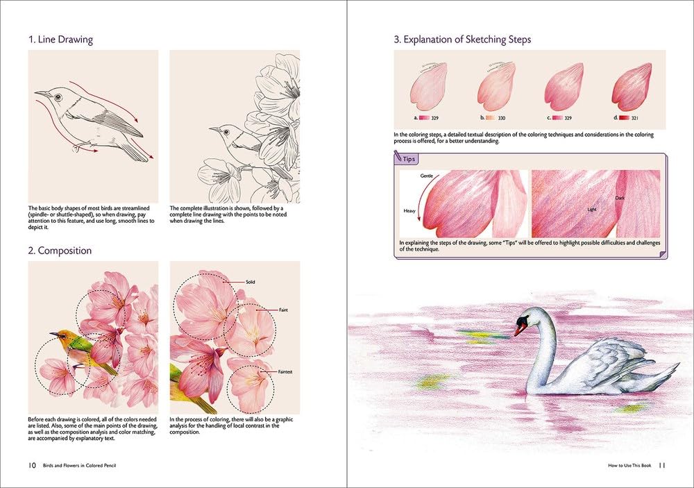 BIRDS AND FLOWERS IN COLORED PENCIL: STEP-BY-STEP TUTORIALS AND TECHNIQUES
