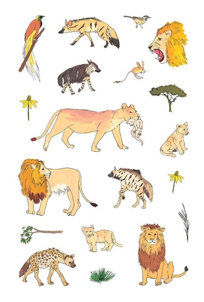 WILDLIFE ANATOMY STICKER BOOK