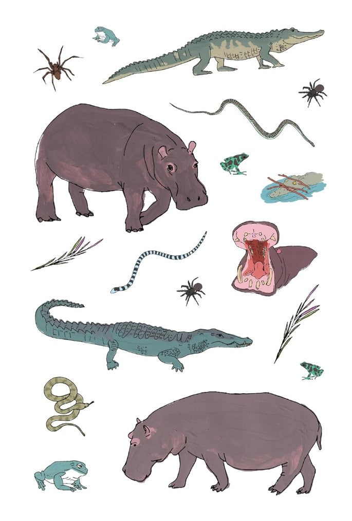 WILDLIFE ANATOMY STICKER BOOK