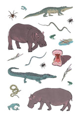 WILDLIFE ANATOMY STICKER BOOK