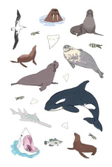 WILDLIFE ANATOMY STICKER BOOK