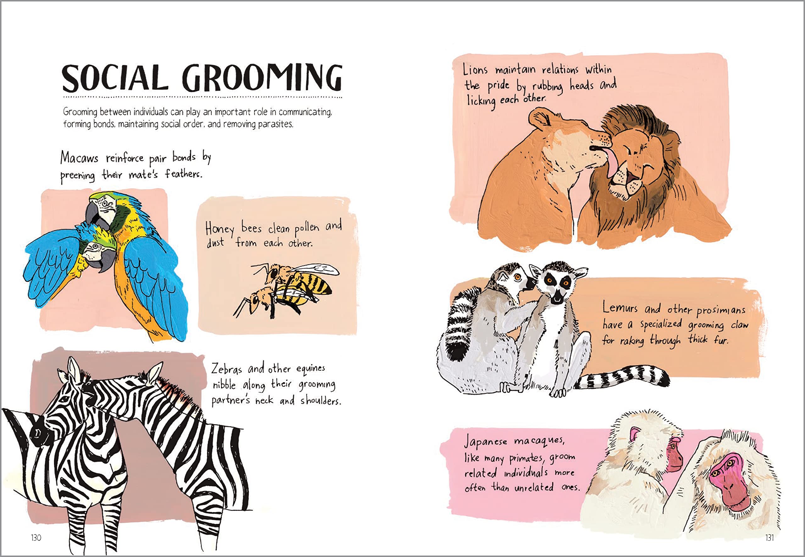 Product image for B9781635863888