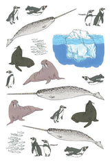 Product image for B9781635865370