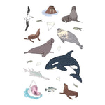 WILDLIFE ANATOMY STICKER BOOK
