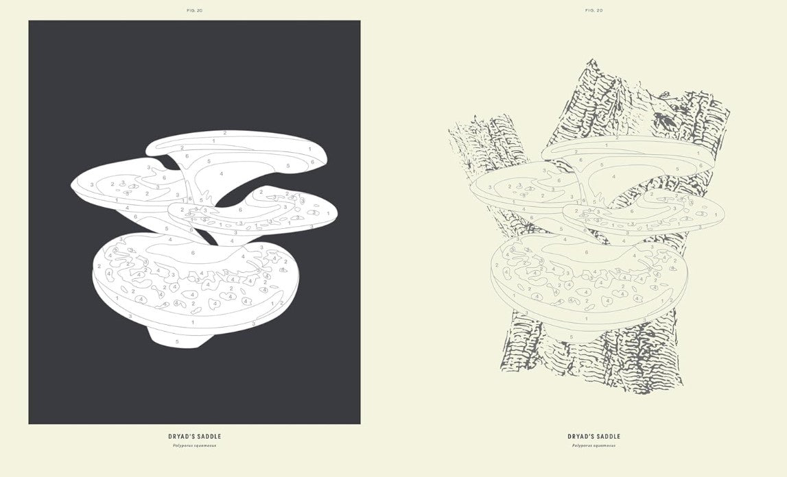 Product image for B9781635868753