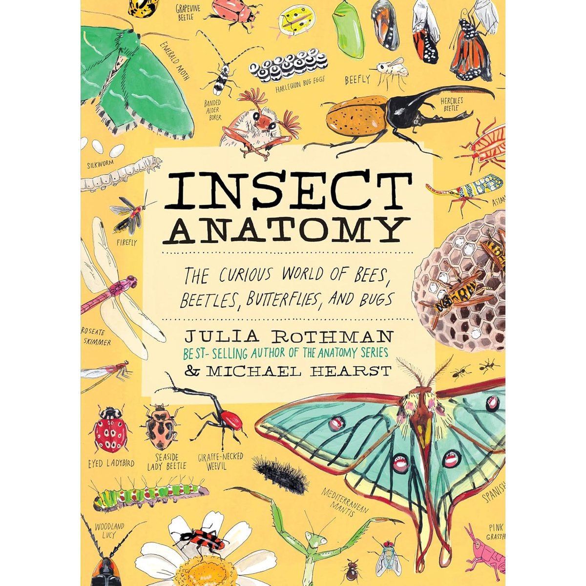 INSECT ANATOMY