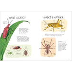 INSECT ANATOMY
