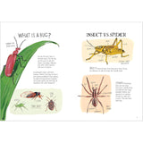 INSECT ANATOMY