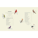 COLOUREADY BIRDS 20 MODERN PAINT BY NUMBERS PRINTS