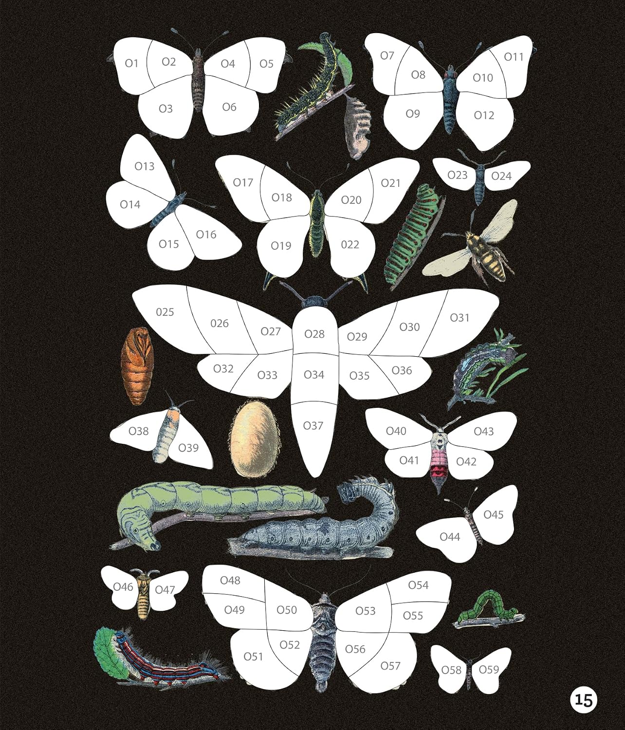 BRAIN GAMES - STICKER BY NUMBER - VINTAGE: BUTTERFLIES