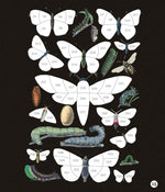 BRAIN GAMES - STICKER BY NUMBER - VINTAGE: BUTTERFLIES