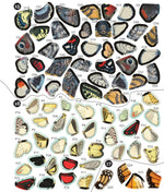 BRAIN GAMES - STICKER BY NUMBER - VINTAGE: BUTTERFLIES