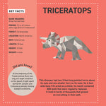 MY STICKER PAINTINGS DINOSAURS