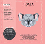 Product image for B9781641243223