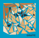 Product image for B9781641243223