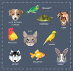 Product image for B9781641243247