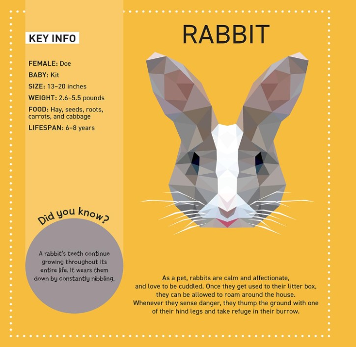 Product image for B9781641243247