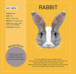 Product image for B9781641243247