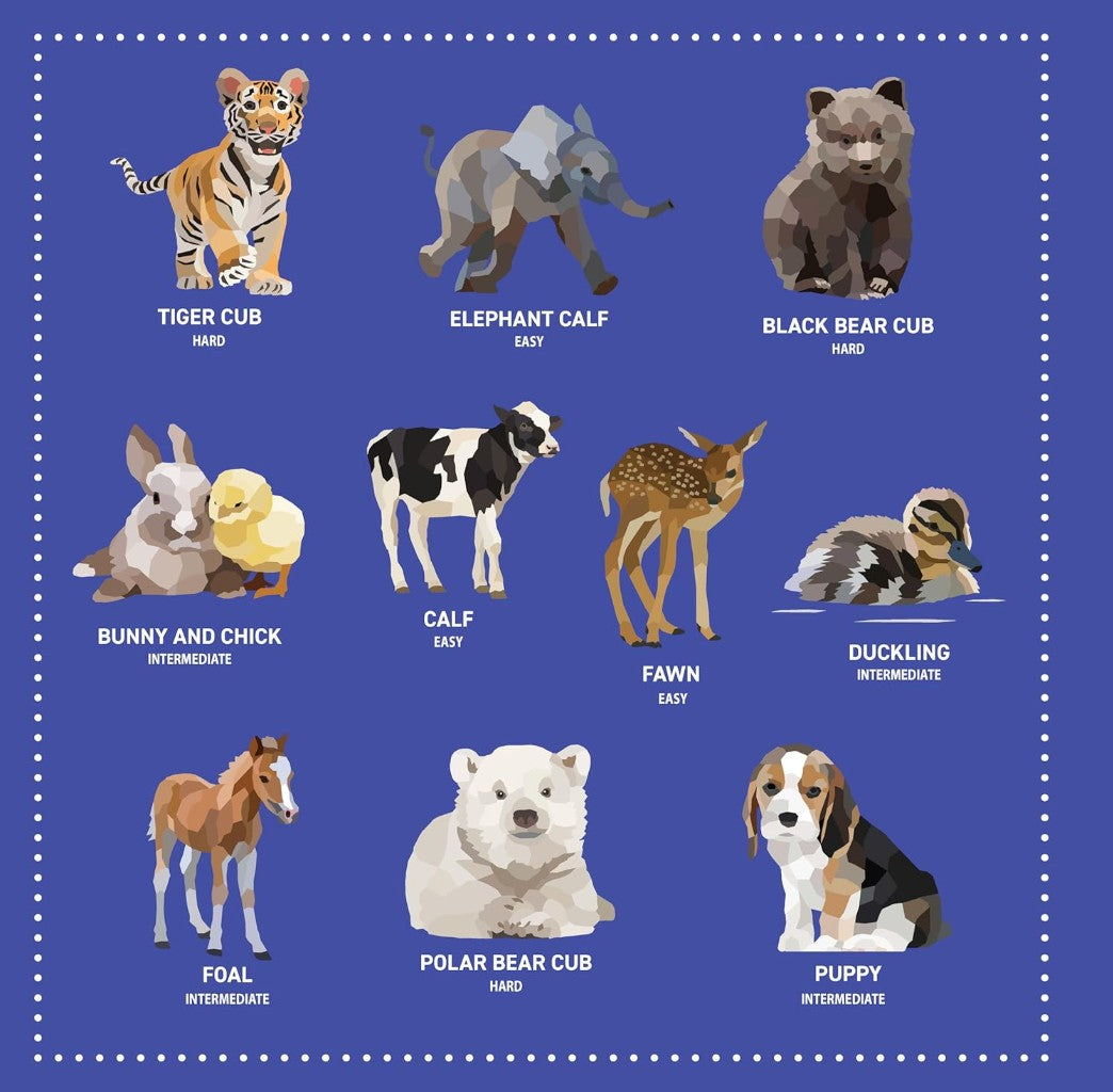 Product image for B9781641244077