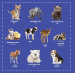 Product image for B9781641244077