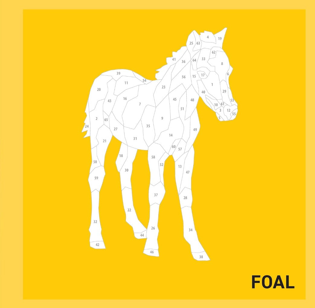 Product image for B9781641244077