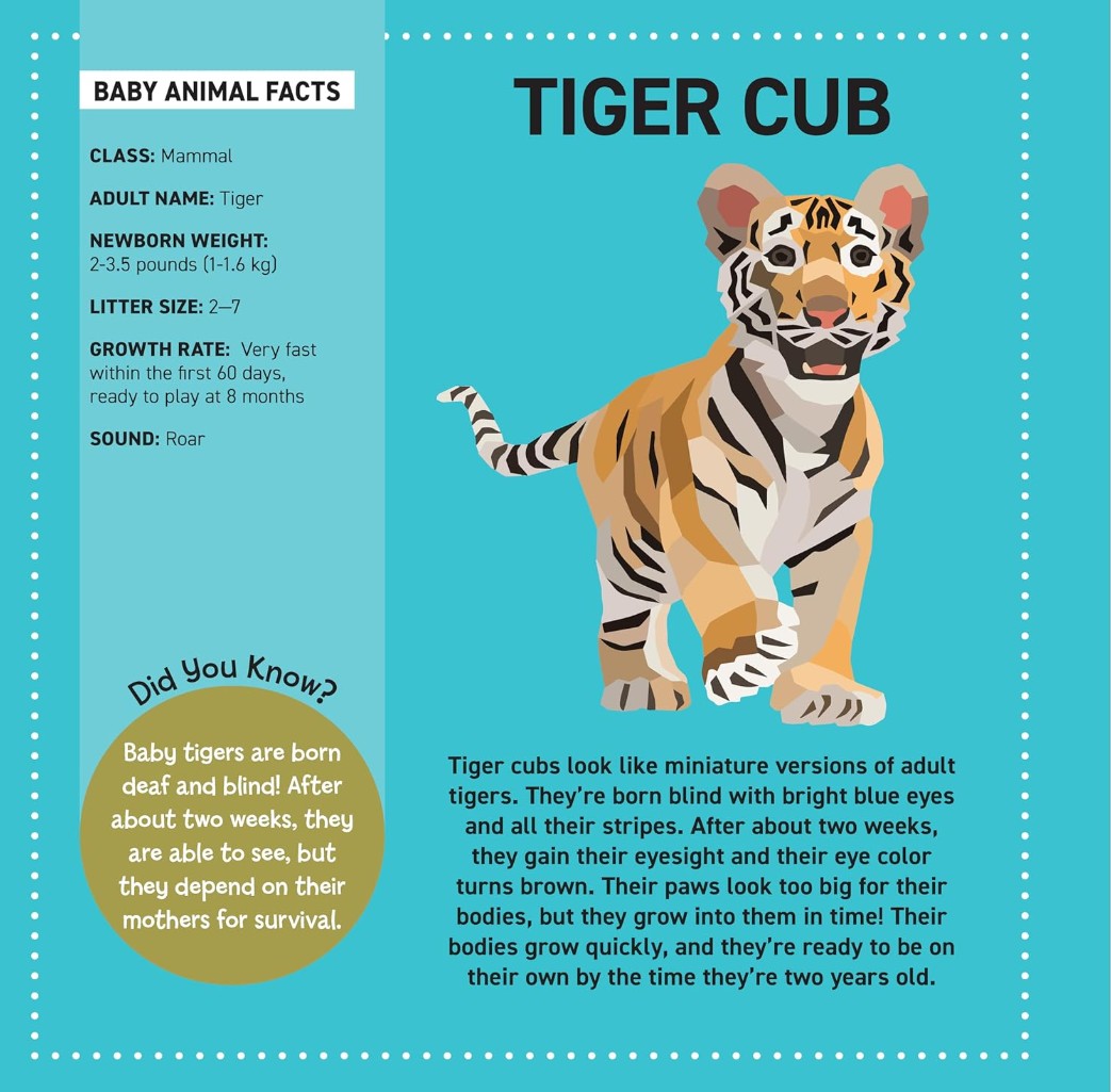 Product image for B9781641244077