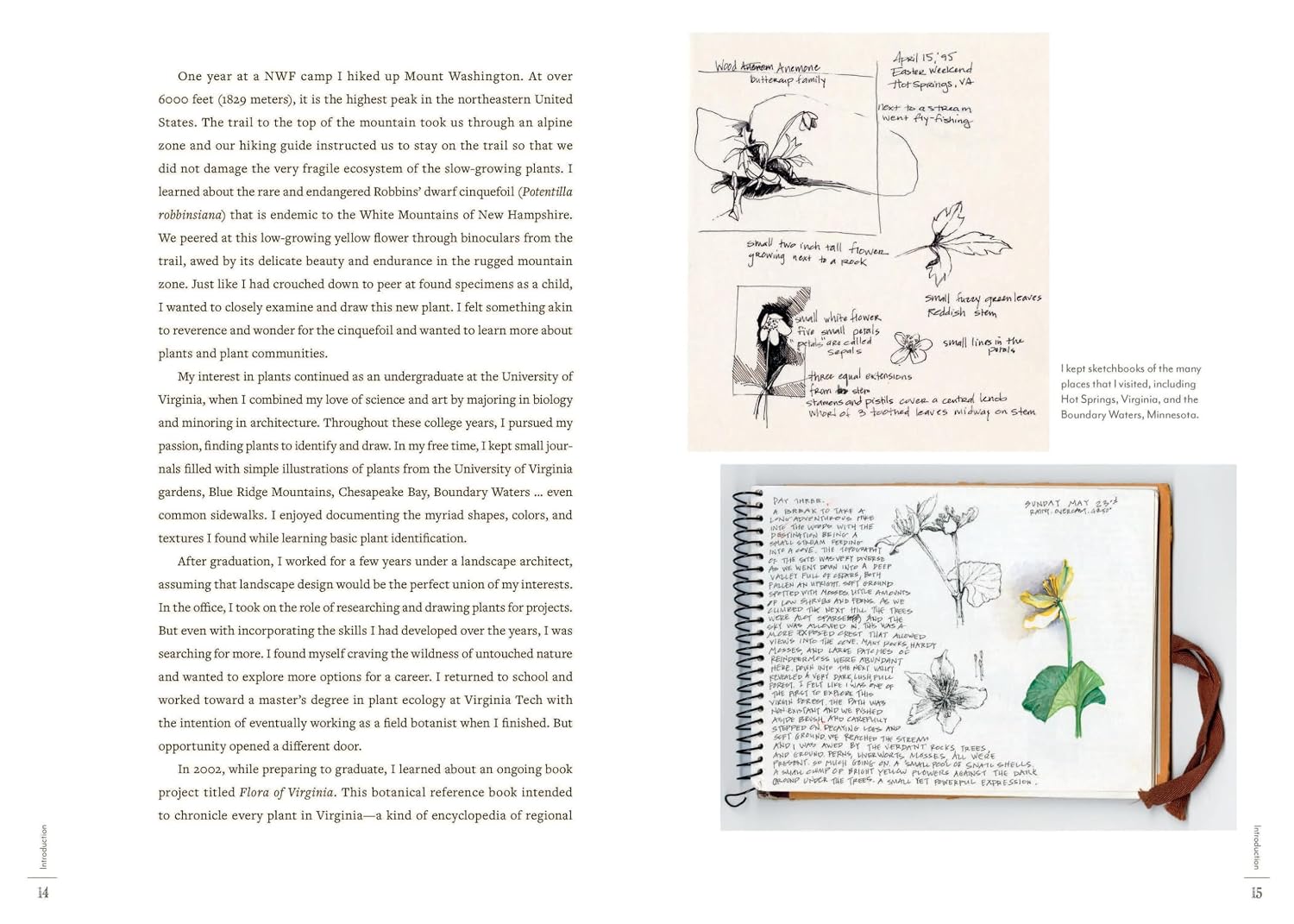 A PERPETUAL JOURNAL PRACTICE: BUILDING A CONNECTION WITH NATURE THROUGH ART