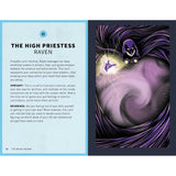 DC TAROT DECK AND GUIDEBOOK