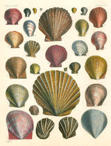 Product image for B9781648290176