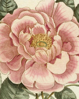 Product image for B9781648294167