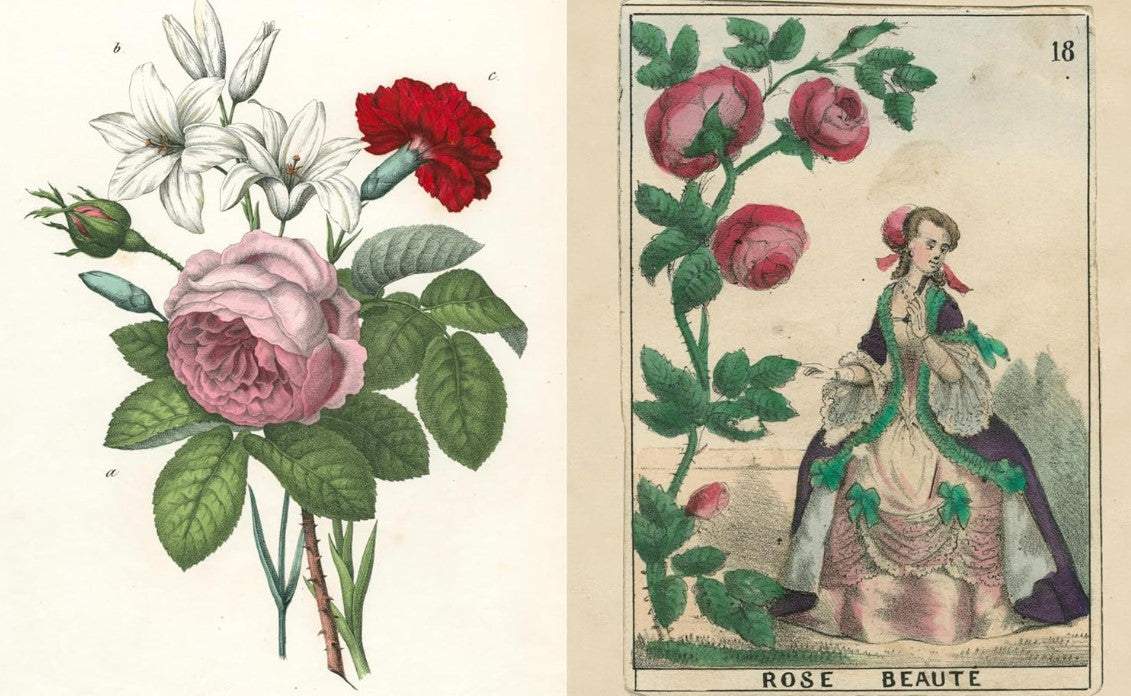 Product image for B9781648294167