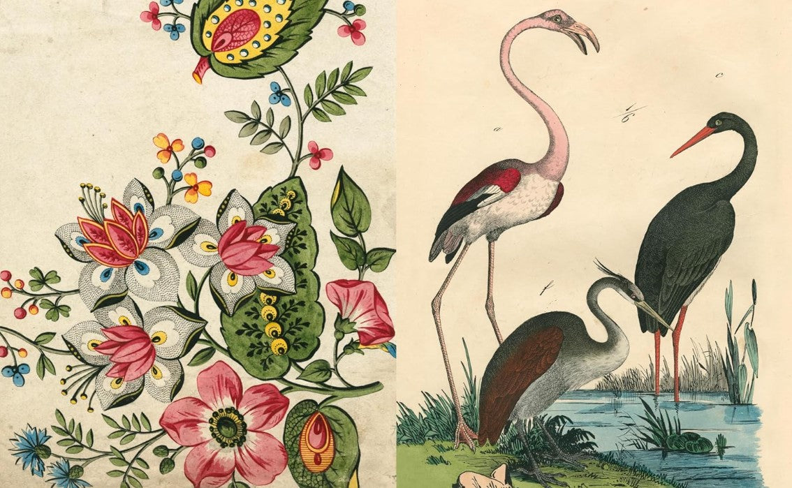 Product image for B9781648294167