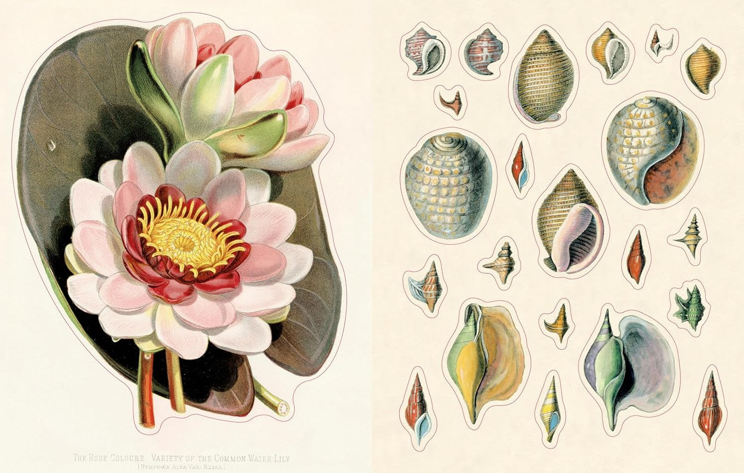 JOHN DERIAN STICKER BOOK 2