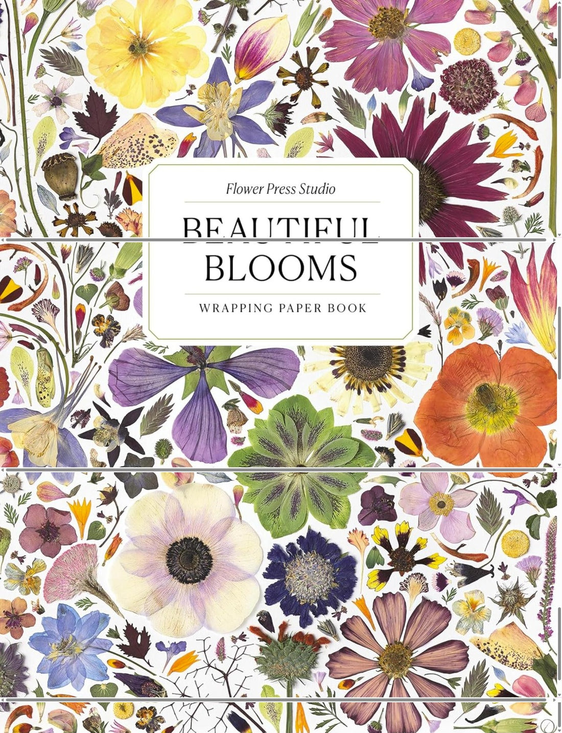 BEAUTIFUL BLOOMS WRAPPING PAPER BOOK
