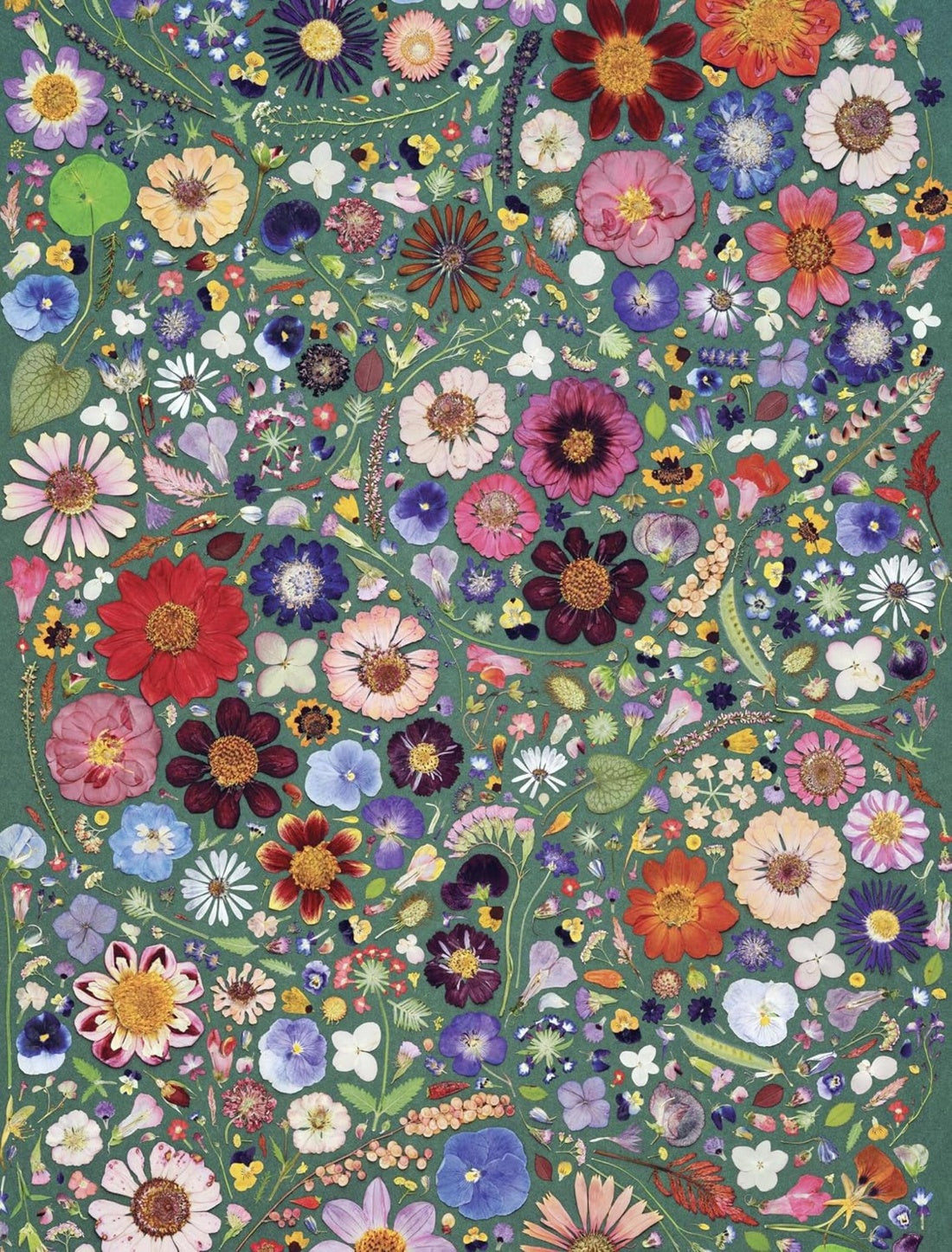 BEAUTIFUL BLOOMS WRAPPING PAPER BOOK