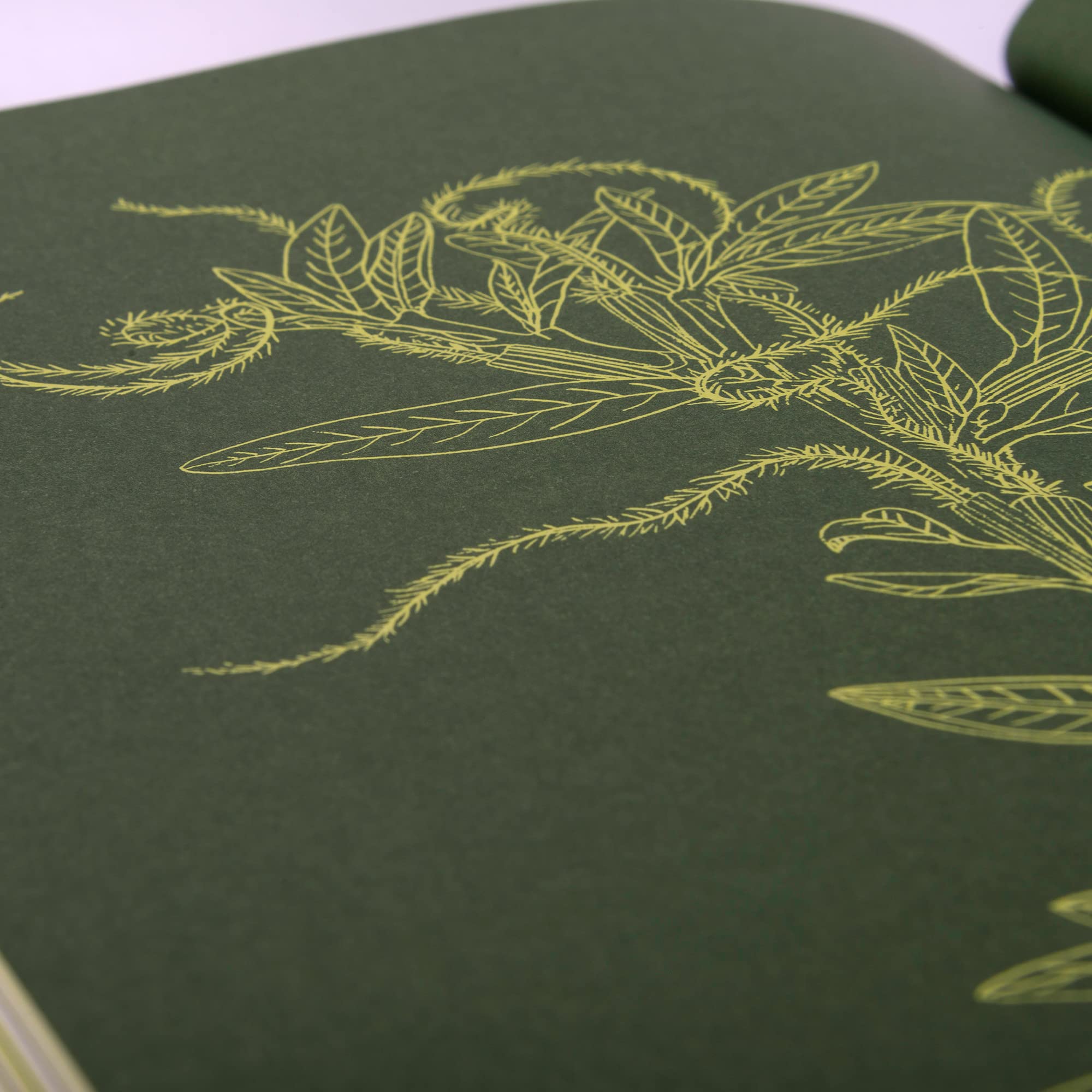 Product image for B9781648961243