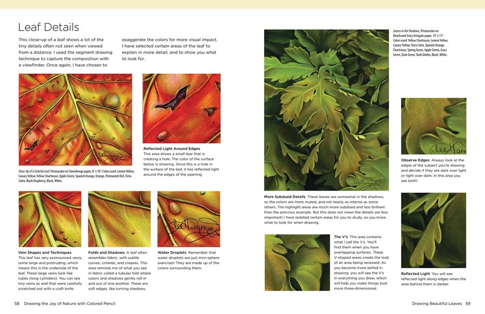 Product image for B9781684620449