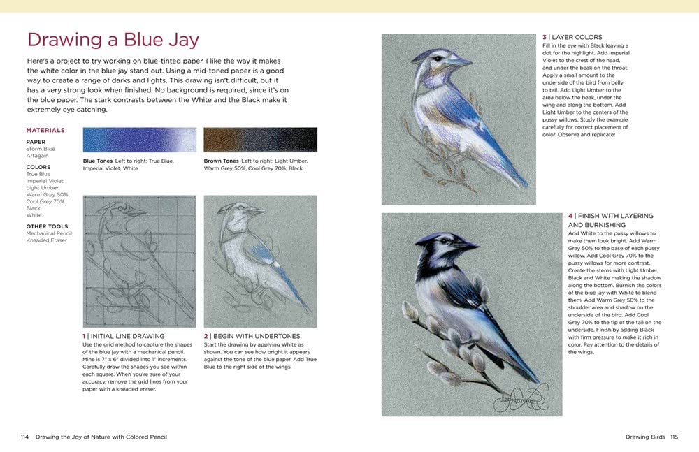 Product image for B9781684620449