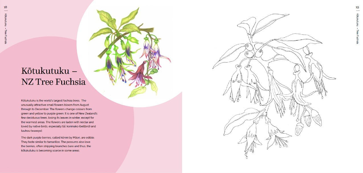 Nz Tree Colouing In THE NZ NATIVE FLOWER COLOURING BOOK – Gordon Harris - The Art & Graphic ...