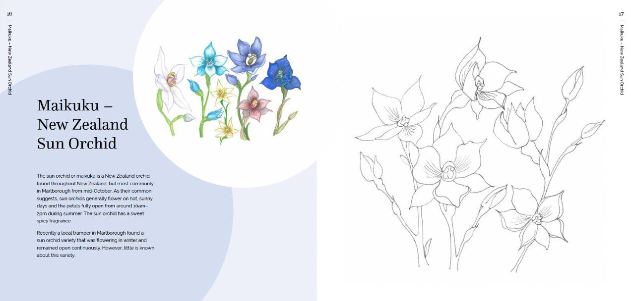 Product image for B9781738618002