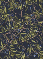 Product image for B9781760503529