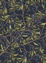 Product image for B9781760503529