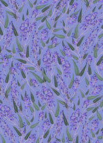 Product image for B9781760503529