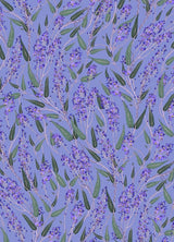 Product image for B9781760503529